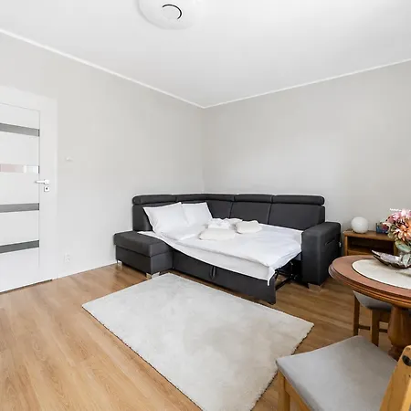 Grunwald Homely By Bookinghost Apartment *